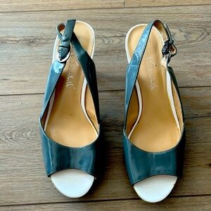 Gloria Vanderbilt size 10 heels, worn twice.